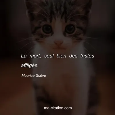 Maurice Scève : La mort, seul bien des tristes affligés.