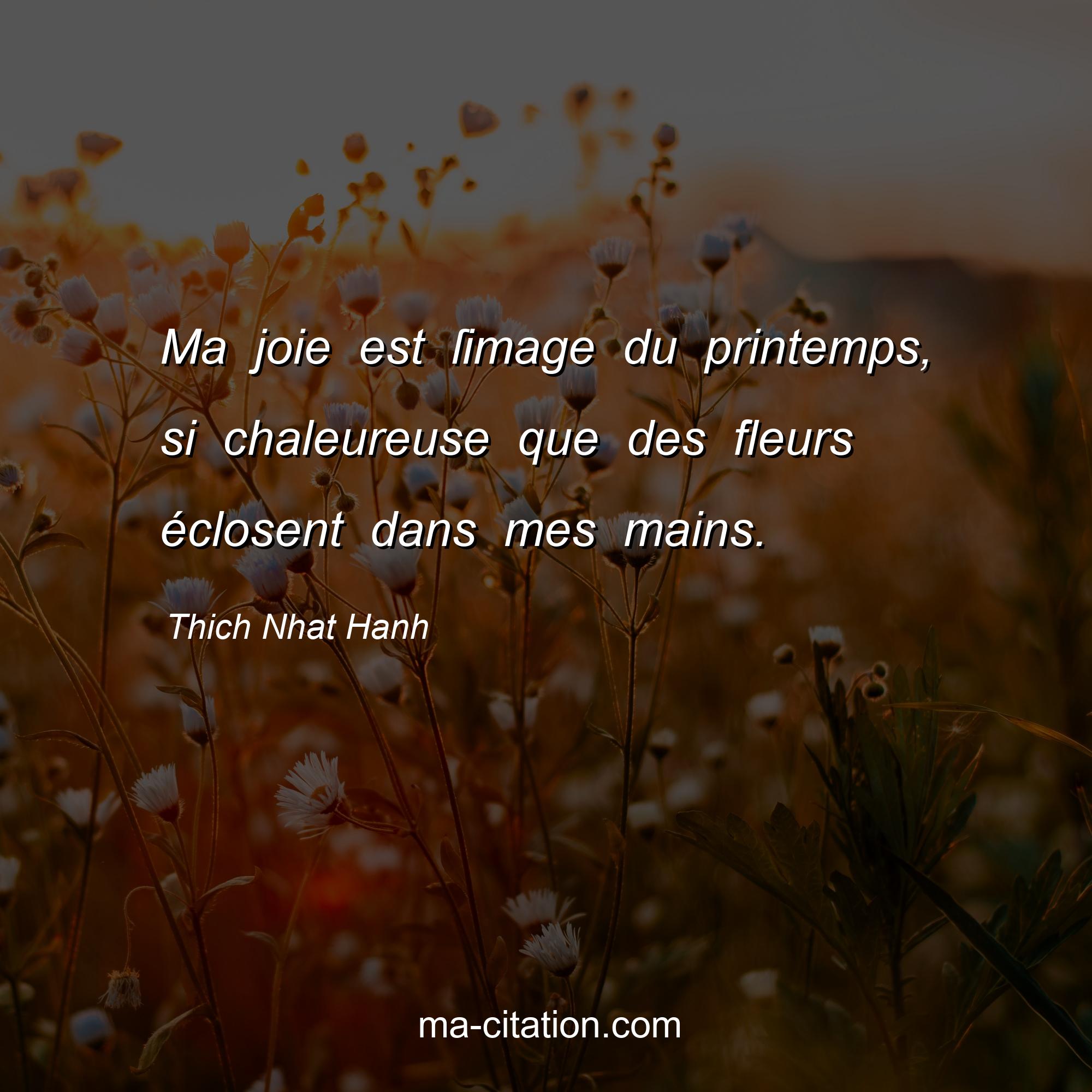 Ma Joie Est ſimage Du Printemps Si Chaleureuse Que Des Fleurs Eclosent Dans Mes Mains Thich Nhat Hanh Ma Citation Com