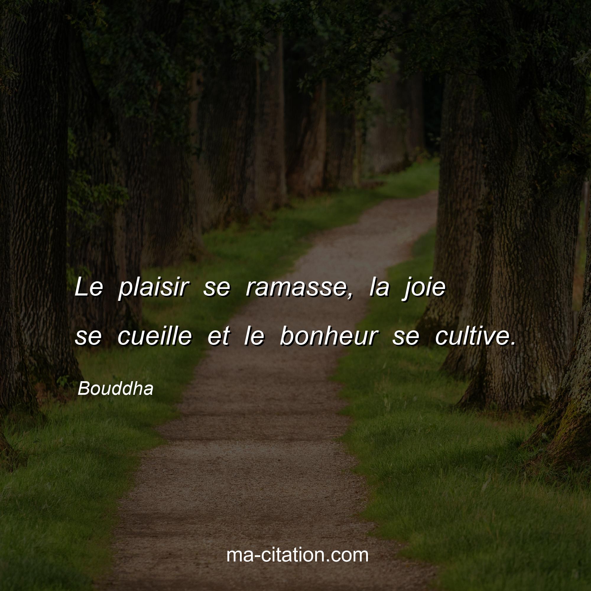 Le plaisir se ramasse, la joie se cueille et le bonheur se cultive. Bouddha. | Ma-Citation.com
