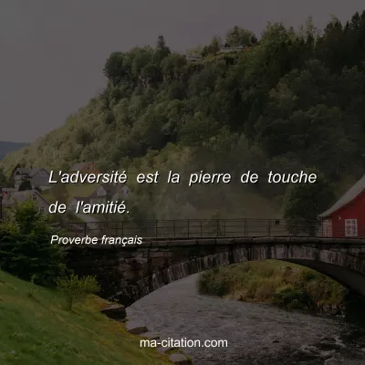 Proverbe franÃ§ais : L'adversitÃ© est la pierre de touche de l'amitiÃ©.