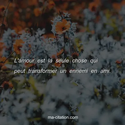 L'amour est la seule chose qui peut transformer un ennemi en ami.