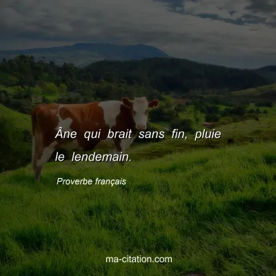 Proverbe franÃ§ais : Ã‚ne qui brait sans fin, pluie le lendemain.