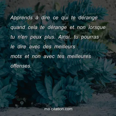 Apprends Ã  dire ce qui te dÃ©range quand cela te dÃ©range et non lorsque tu n'en peux plus. Ainsi, tu pourras le dire avec des meilleurs mots et non avec tes meilleures offenses.