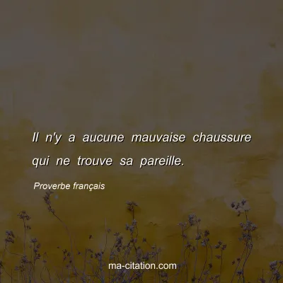 Proverbe franÃ§ais : Il n'y a aucune mauvaise chaussure qui ne trouve sa pareille.