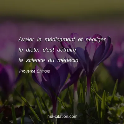 Proverbe Chinois : Avaler le mÃ©dicament et nÃ©gliger la diÃ¨te, c'est dÃ©truire la science du mÃ©decin.