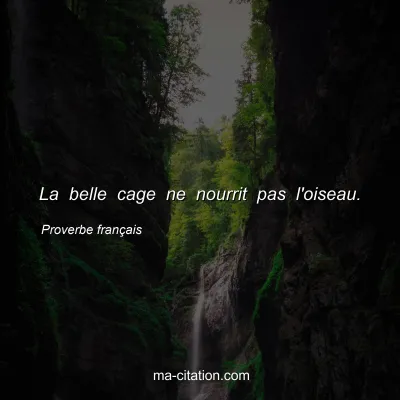 Proverbe franÃ§ais : La belle cage ne nourrit pas l'oiseau.