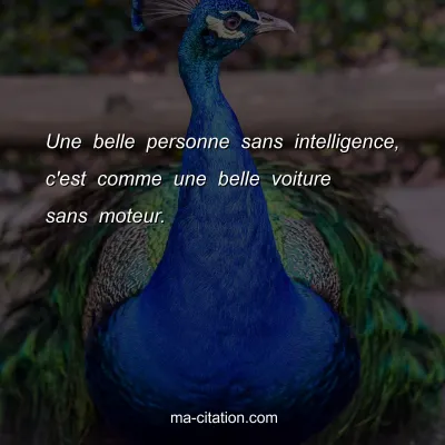 Une belle personne sans intelligence, c'est comme une belle voiture sans moteur.