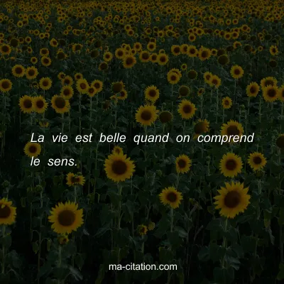 La vie est belle quand on comprend le sens.