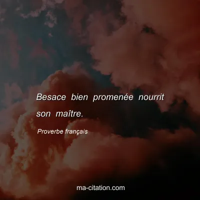 Proverbe franÃ§ais : Besace bien promenÃ©e nourrit son maÃ®tre.