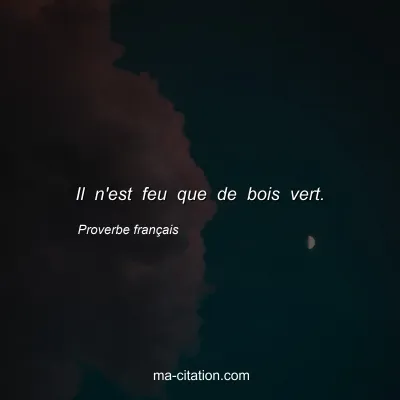 Proverbe franÃ§ais : Il n'est feu que de bois vert.