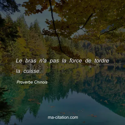 Proverbe Chinois : Le bras n'a pas la force de tordre la cuisse.