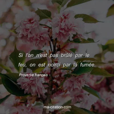 Proverbe franÃ§ais : Si l'on n'est pas brÃ»lÃ© par le feu, on est noirci par la fumÃ©e.