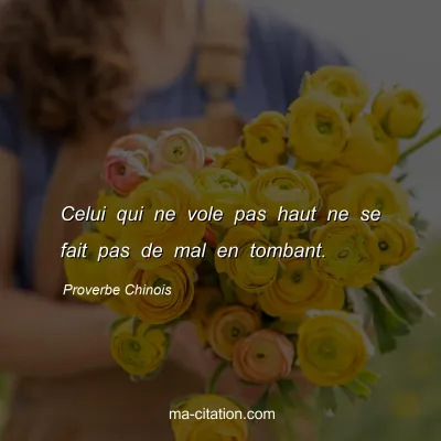 Proverbe Chinois : Celui qui ne vole pas haut ne se fait pas de mal en tombant.