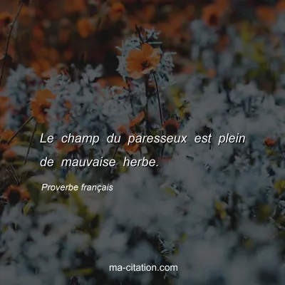 Proverbe franÃ§ais : Le champ du paresseux est plein de mauvaise herbe.