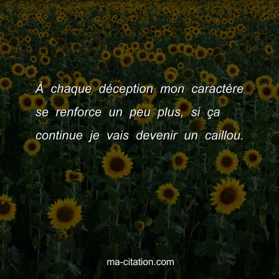 Ã€ chaque dÃ©ception mon caractÃ¨re se renforce un peu plus, si Ã§a continue je vais devenir un caillou.