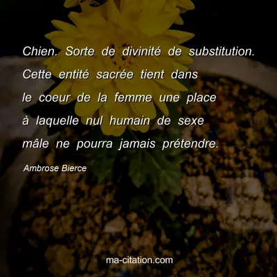 Ambrose Bierce : Chien. Sorte de divinitÃ© de substitution. Cette entitÃ© sacrÃ©e tient dans le coeur de la femme une place Ã  laquelle nul humain de sexe mÃ¢le ne pourra jamais prÃ©tendre.