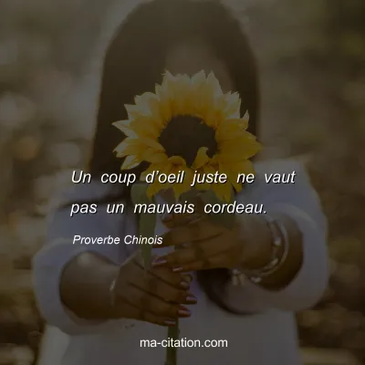 Proverbe Chinois : Un coup dâ€™oeil juste ne vaut pas un mauvais cordeau.