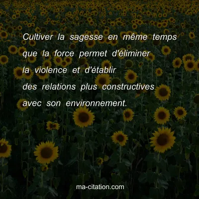 Cultiver la sagesse en mÃªme temps que la force permet d'Ã©liminer la violence et d'Ã©tablir des relations plus constructives avec son environnement.