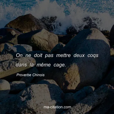 Proverbe Chinois : On ne doit pas mettre deux coqs dans la mÃªme cage.