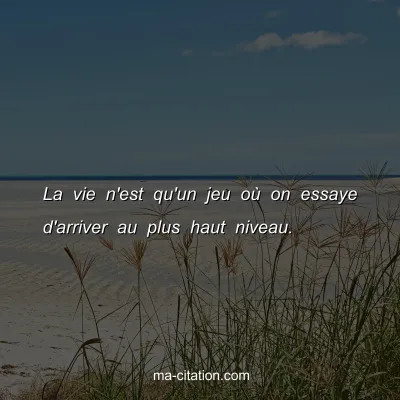 La vie n'est qu'un jeu oÃ¹ on essaye d'arriver au plus haut niveau.