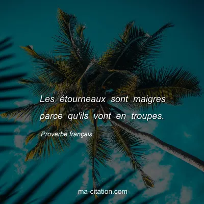 Proverbe franÃ§ais : Les Ã©tourneaux sont maigres parce qu'ils vont en troupes.