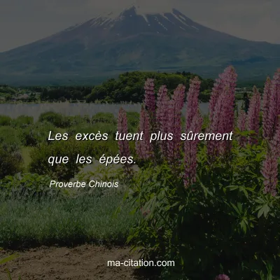 Proverbe Chinois : Les excÃ¨s tuent plus sÃ»rement que les Ã©pÃ©es.