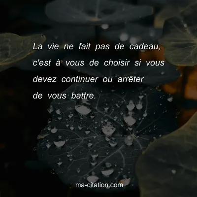 La vie ne fait pas de cadeau, c'est Ã  vous de choisir si vous devez continuer ou arrÃªter de vous battre.