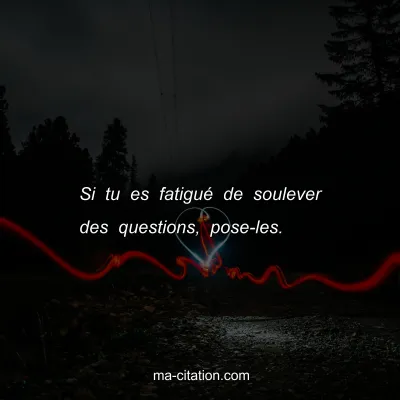 Si tu es fatiguÃ© de soulever des questions, pose-les.