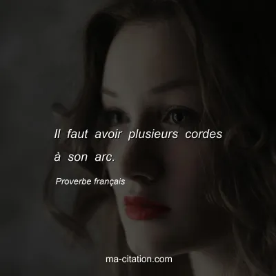 Proverbe franÃ§ais : Il faut avoir plusieurs cordes Ã  son arc.