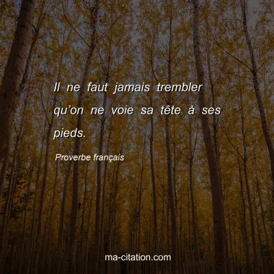 Proverbe franÃ§ais : Il ne faut jamais trembler quâ€™on ne voie sa tÃªte Ã  ses pieds.