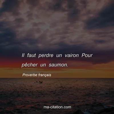 Proverbe franÃ§ais : Il faut perdre un vairon Pour pÃªcher un saumon.