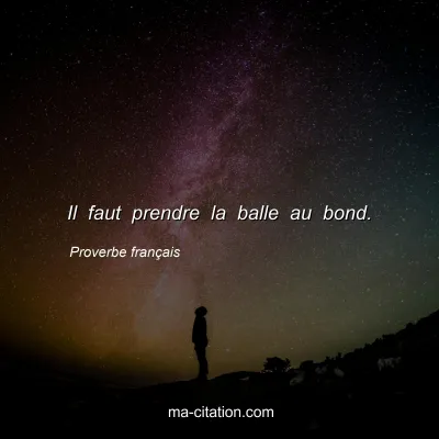 Proverbe franÃ§ais : Il faut prendre la balle au bond.