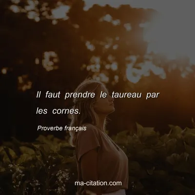 Proverbe franÃ§ais : Il faut prendre le taureau par les cornes.