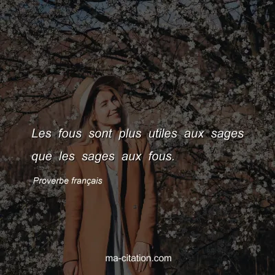 Proverbe franÃ§ais : Les fous sont plus utiles aux sages que les sages aux fous.