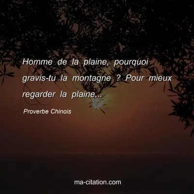 Proverbe Chinois : Homme de la plaine, pourquoi gravis-tu la montagne ? Pour mieux regarder la plaine...