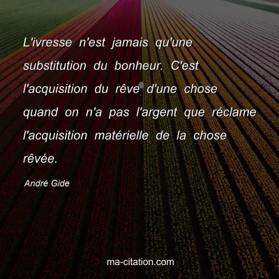 André Gide : L'ivresse n'est jamais qu'une substitution du bonheur. C'est l'acquisition du rêve d'une chose quand on n'a pas l'argent que réclame l'acquisition matérielle de la chose rêvée.