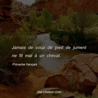 Proverbe franÃ§ais : Jamais de coup de pied de jument ne fit mal Ã  un cheval.