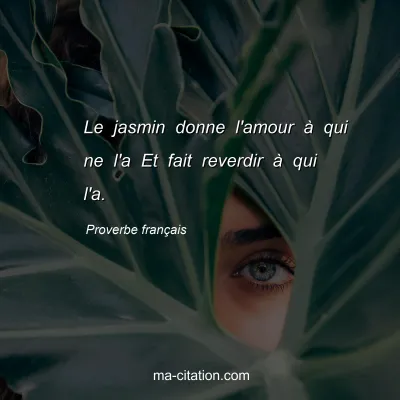 Proverbe franÃ§ais : Le jasmin donne l'amour Ã  qui ne l'a Et fait reverdir Ã  qui l'a.