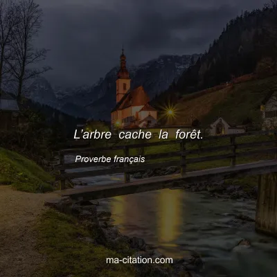 Proverbe franÃ§ais : Lâ€™arbre cache la forÃªt.