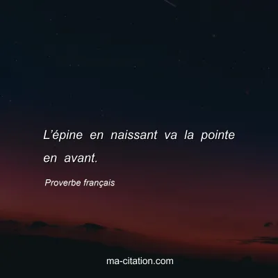 Proverbe franÃ§ais : Lâ€™Ã©pine en naissant va la pointe en avant.