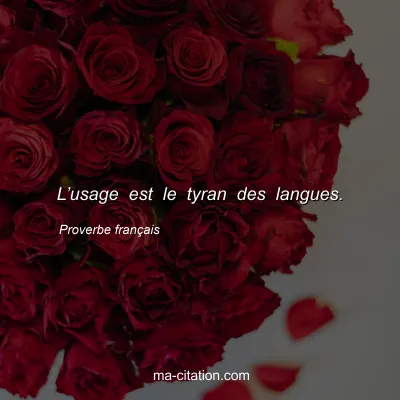 Proverbe franÃ§ais : Lâ€™usage est le tyran des langues.