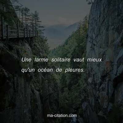 Une larme solitaire vaut mieux qu'un ocÃ©an de pleures. 