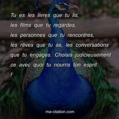 Tu es les livres que tu lis, les films que tu regardes, les personnes que tu rencontres, les rÃªves que tu as, les conversations que tu engages. Choisis judicieusement ce avec quoi tu nourris ton esprit !