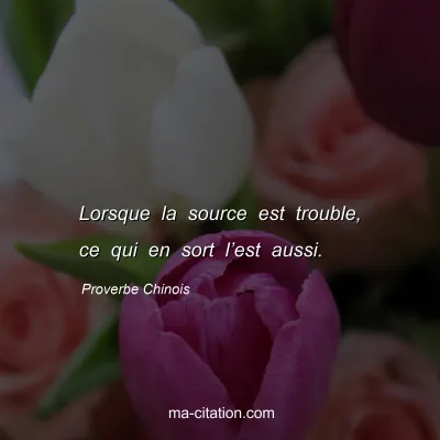 Proverbe Chinois : Lorsque la source est trouble, ce qui en sort lâ€™est aussi.