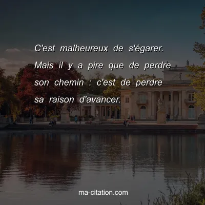 C'est malheureux de s'Ã©garer. Mais il y a pire que de perdre son chemin : c'est de perdre sa raison d'avancer.