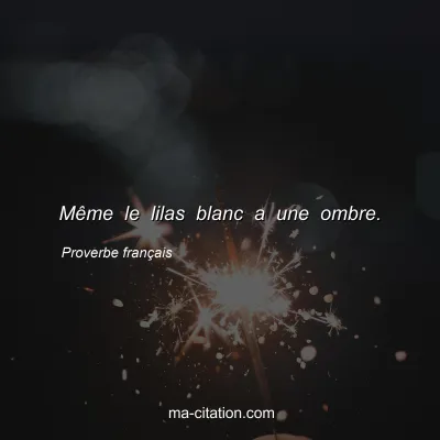 Proverbe franÃ§ais : MÃªme le lilas blanc a une ombre.