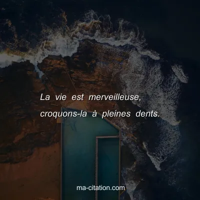 La vie est merveilleuse, croquons-la Ã  pleines dents.