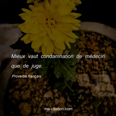 Proverbe franÃ§ais : Mieux vaut condamnation de mÃ©decin que de juge.