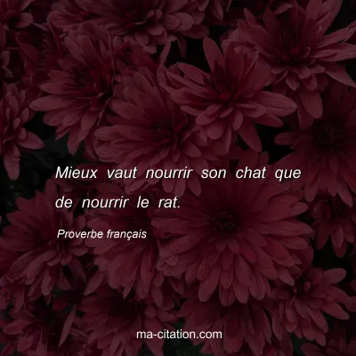 Proverbe franÃ§ais : Mieux vaut nourrir son chat que de nourrir le rat.