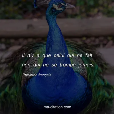 Proverbe franÃ§ais : Il nâ€™y a que celui qui ne fait rien qui ne se trompe jamais.